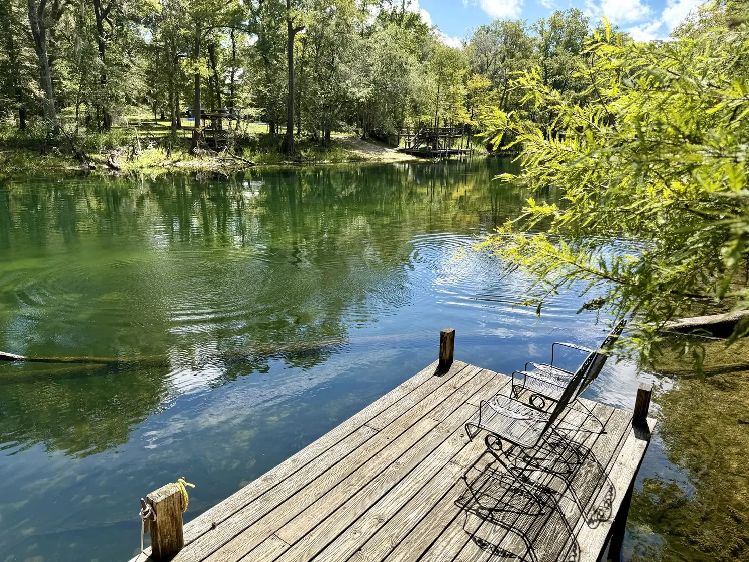 The private dock on the Santa Fe River with chairs looking out over clear green water