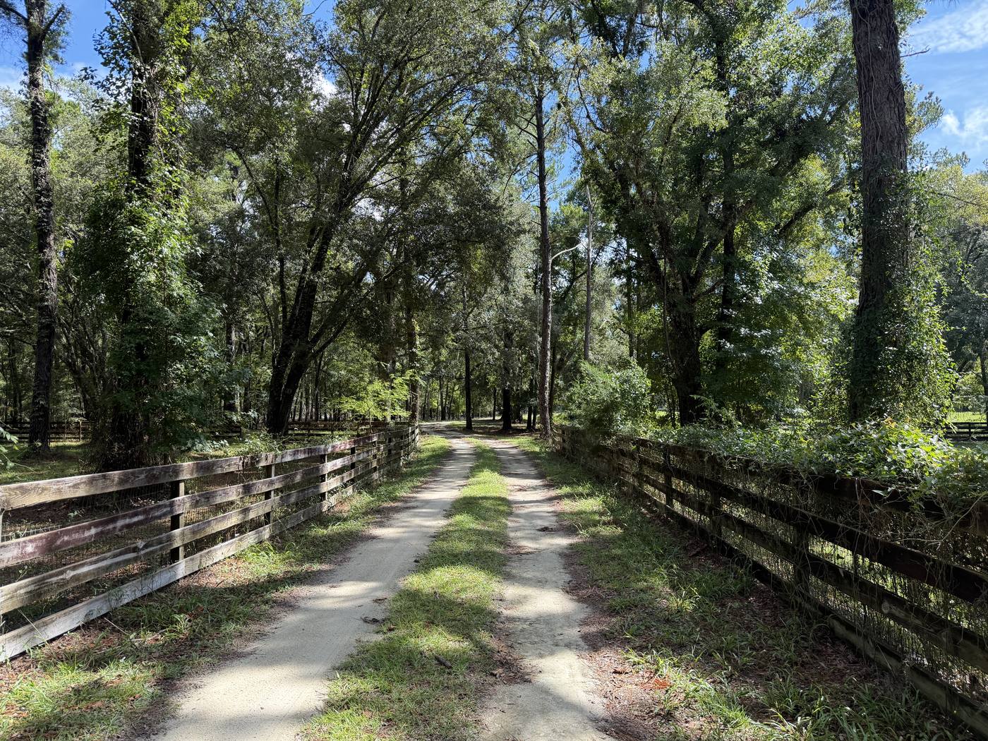 The fenced limerock driveway leading in through pine and hardwood