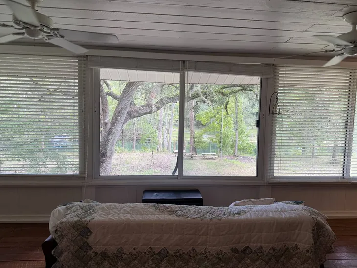 Wide windows looking out over the yard and the trees