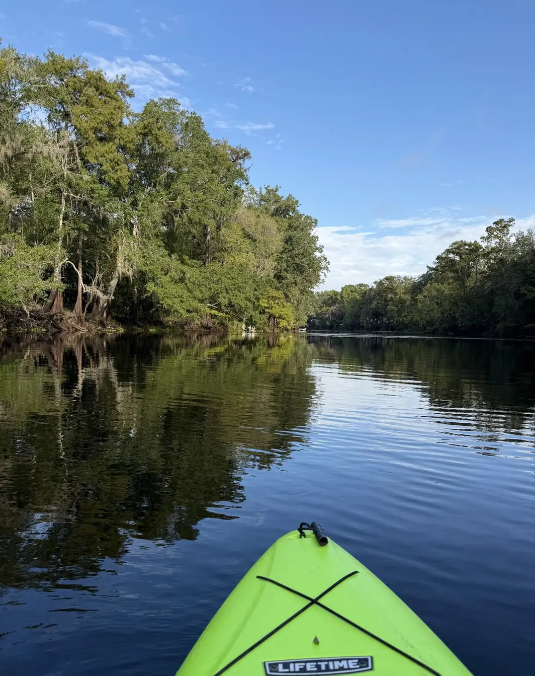 The view from a kayak on the glassy Santa Fe River