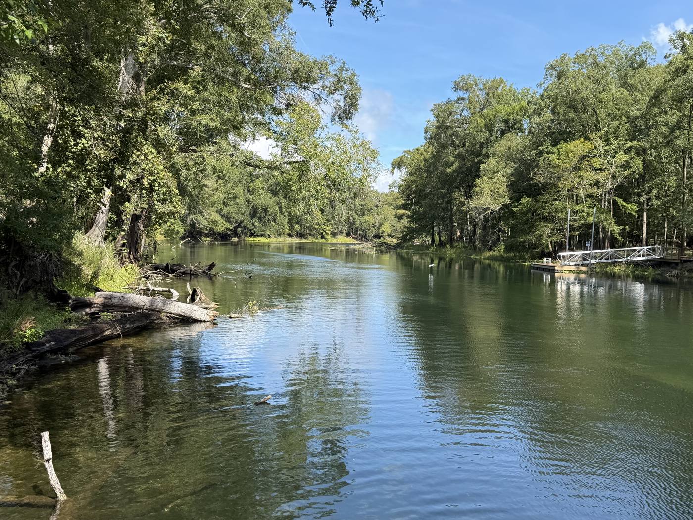 The Santa Fe River looking north from the property's bank